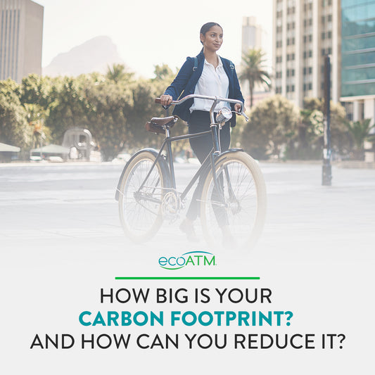 How Big Is Your Carbon Footprint? And How Can You Reduce It?