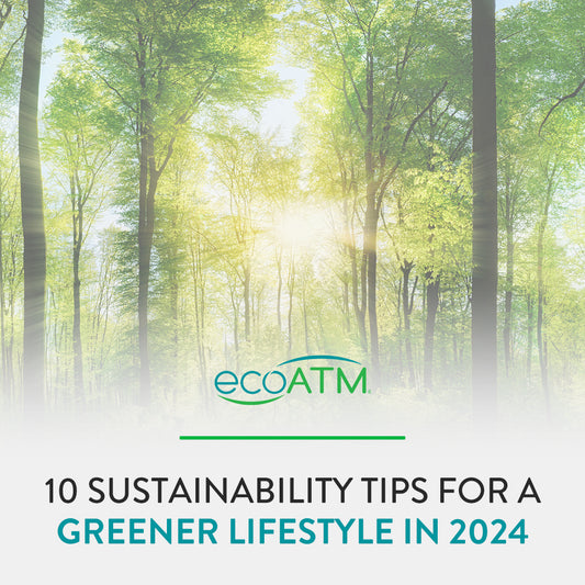 Starting Fresh: 10 Sustainability Tips for a Greener Lifestyle in 2024