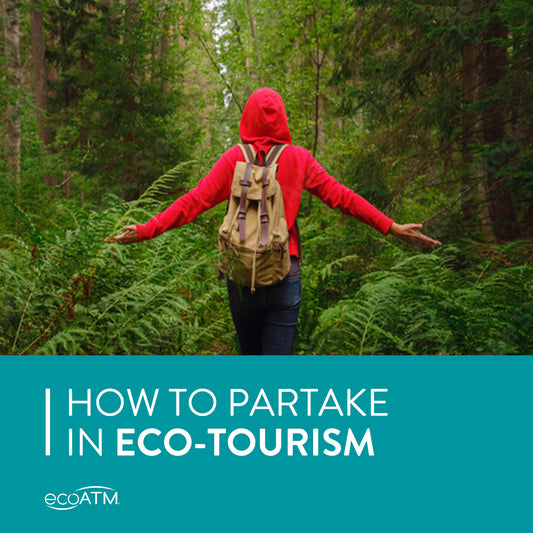 How to Partake in Eco-Tourism