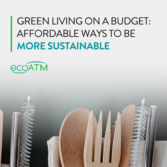 Green Living on a Budget: 15 Affordable Ways to Be More Sustainable